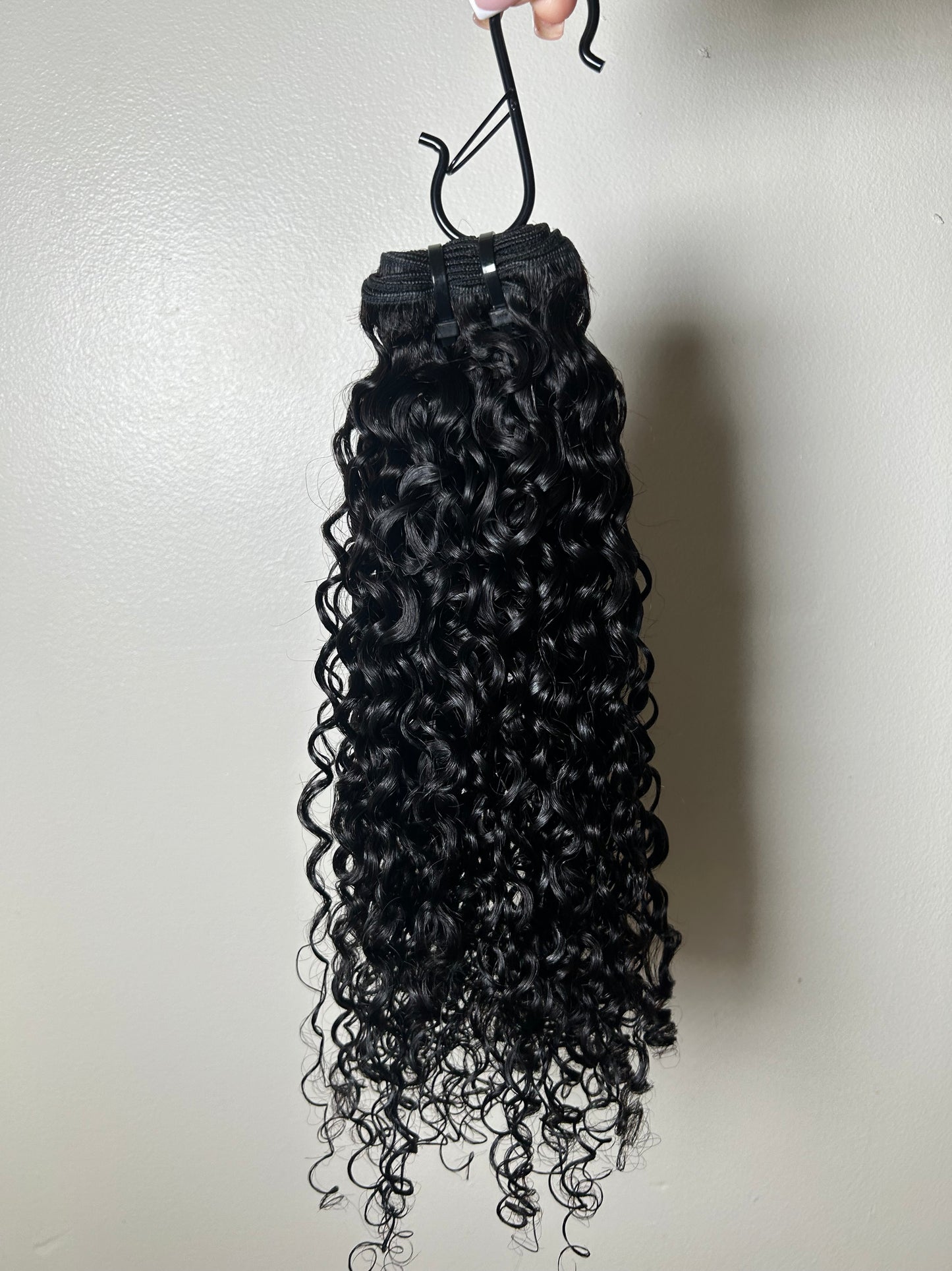 Burmese Fiji Curl