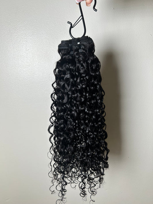 Burmese Fiji Curl